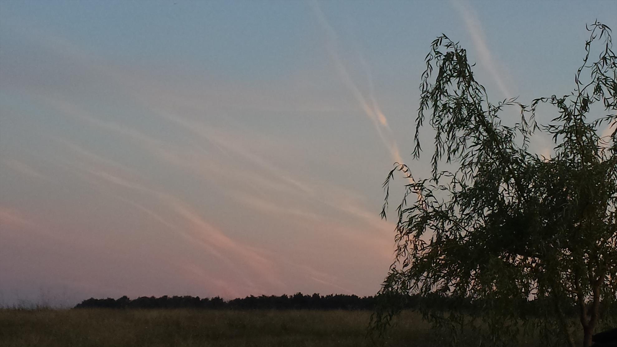 Moara Vlasiei 2 28 - 29 august 2015 - 20150829063404.jpg